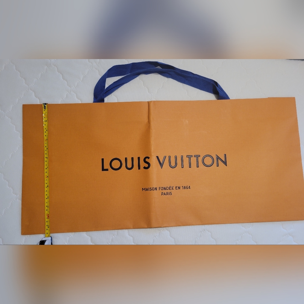 Louis Vuitton Store Bag